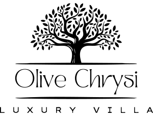 my clean logo
